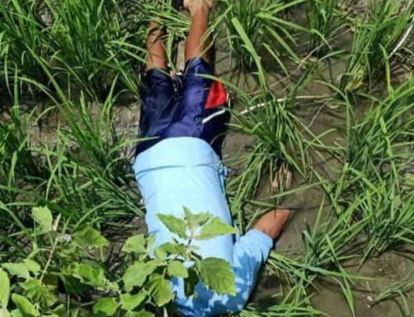 Lagi, Petani jatim jadi korban sengatan listrik jebakan tikus