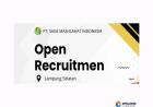 lowongan kerja dari PT Sage Mashlahat Indonesia untuk posisi Field Sales Assistant di wilayah Lampung Selatan. 