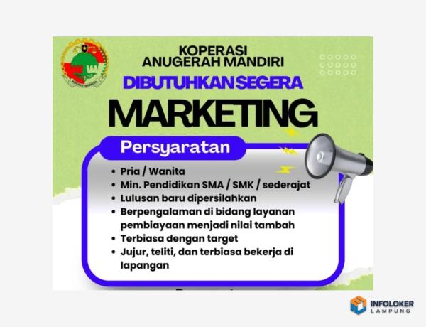 Lowongan Kerja di Koperasi Anugerah Mandiri untuk posisi Marketing, Lampung.