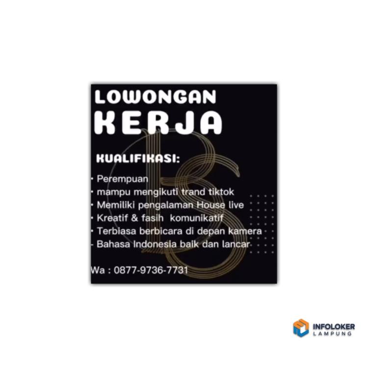 Lowongan kerja host live untuk brand BENANG SCARVES, metro, lampung